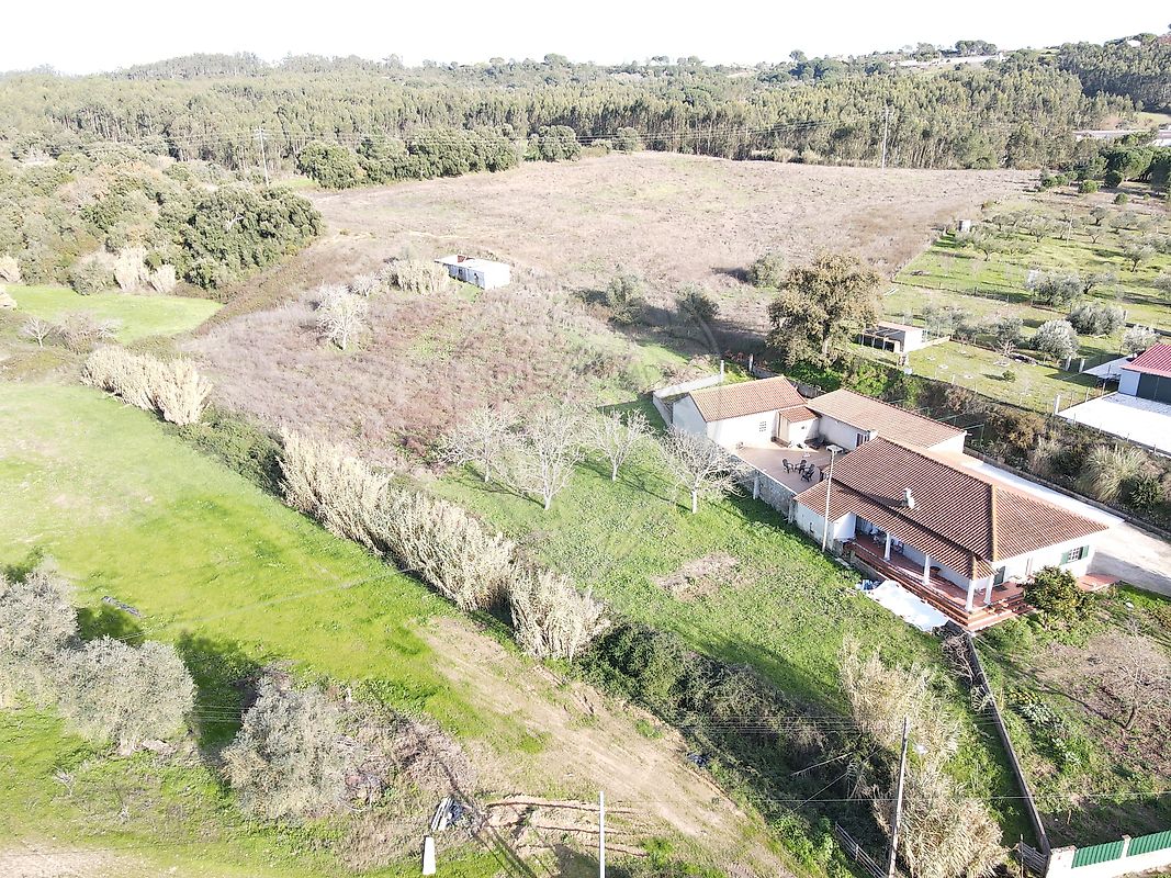 Terreno - São João da Ribeira e Ribeira de São João, Rio Maior, Santarém