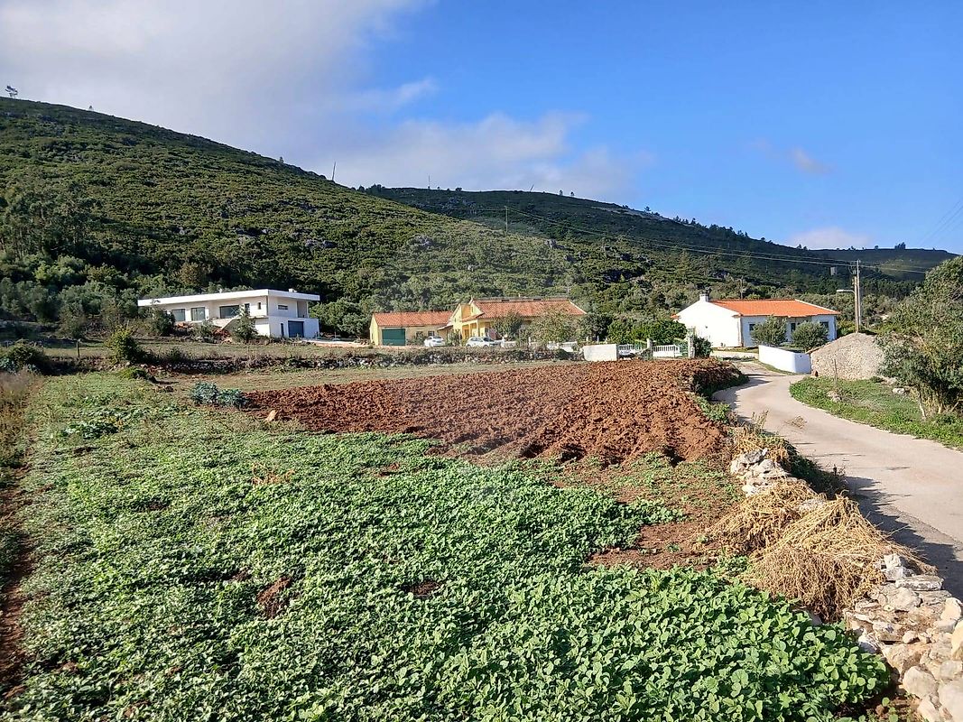 Terreno - Alcobertas, Rio Maior, Santarém
