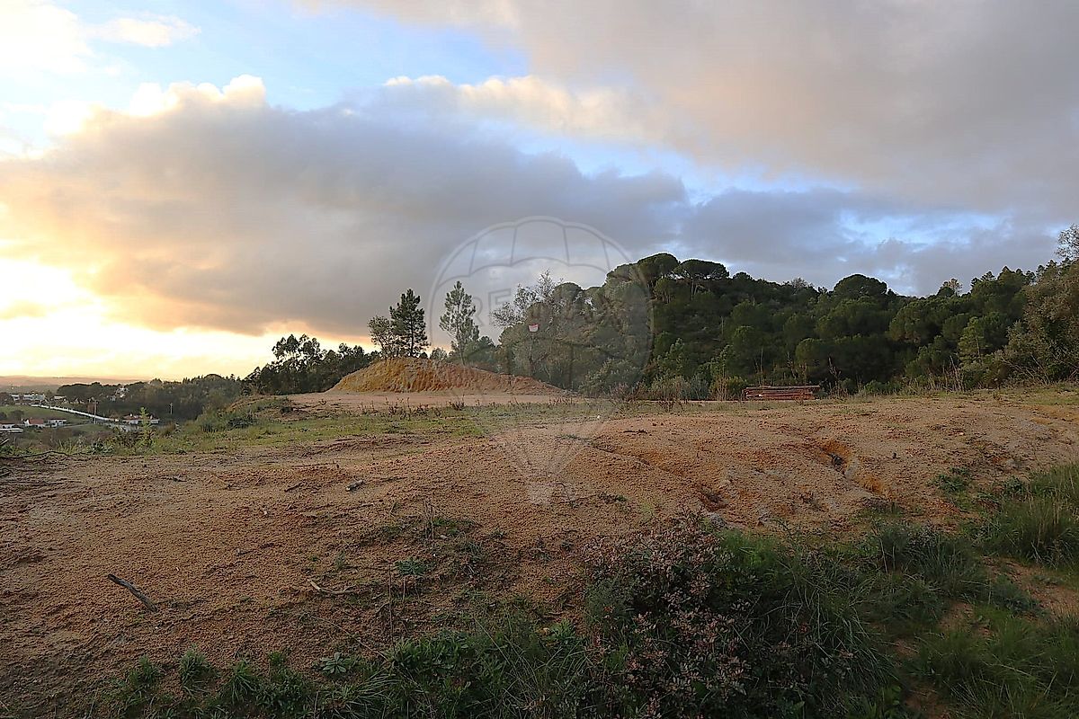 Terreno - São João da Ribeira e Ribeira de São João, Rio Maior, Santarém