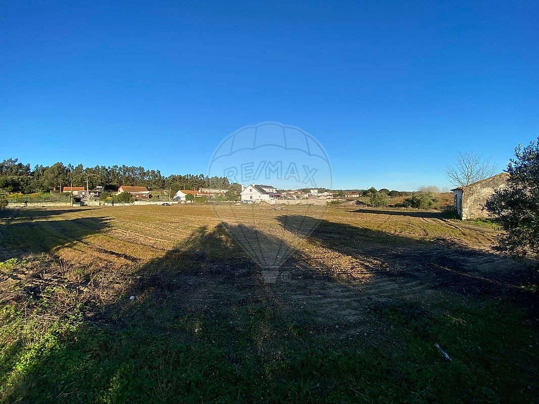 Moradia T0 à venda em São João da Ribeira e Ribeira de São João, Rio Maior — foto 7