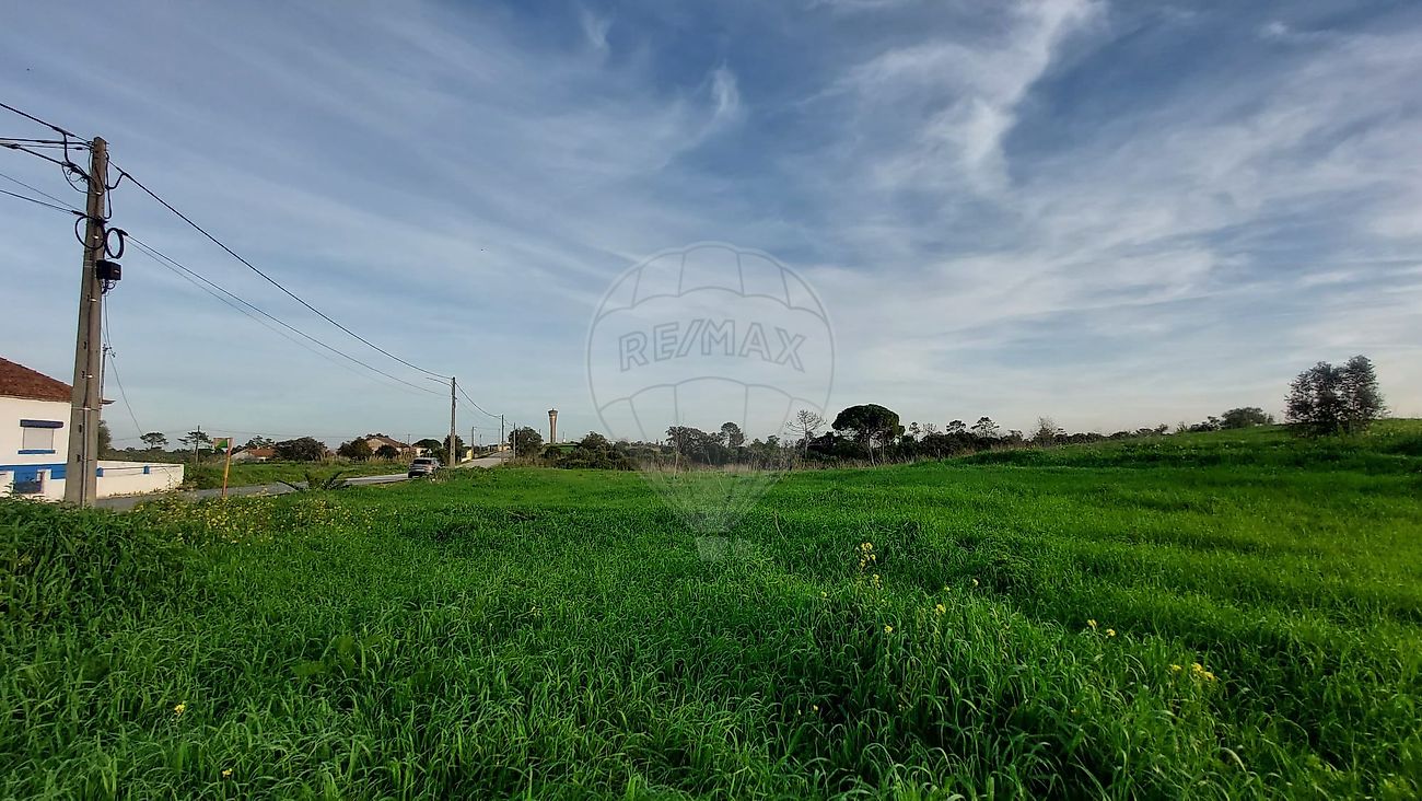 Terreno - Azambujeira e Malaqueijo, Rio Maior, Santarém