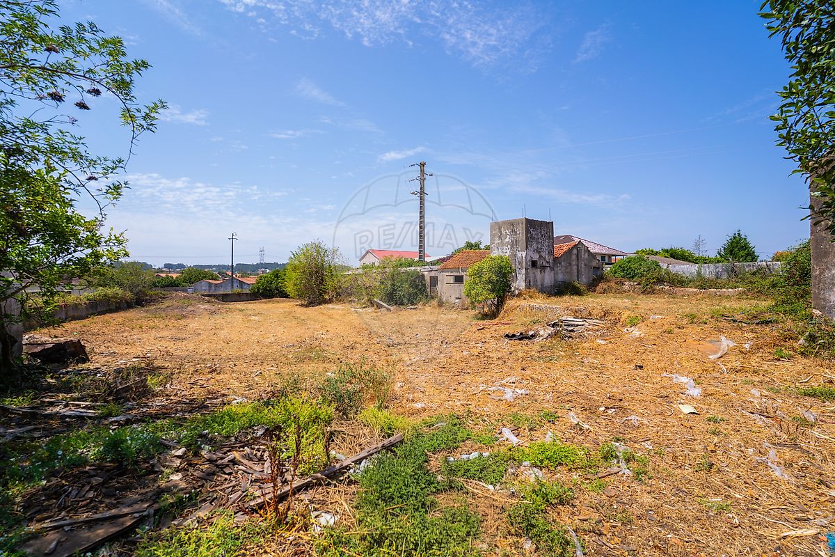 Moradia T6+ à venda em Benedita, Alcobaça — foto 36