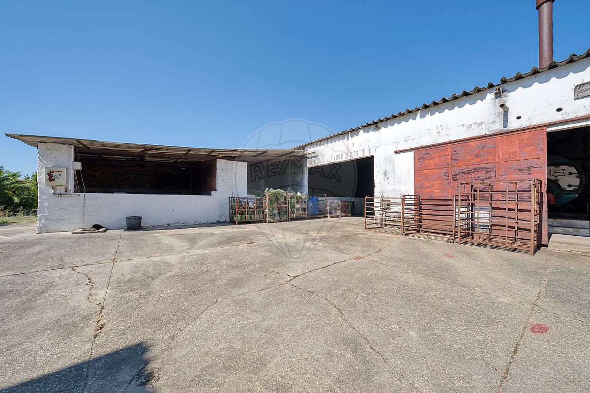 Moradia T5 à venda em Fazendas de Almeirim, Almeirim — foto 23
