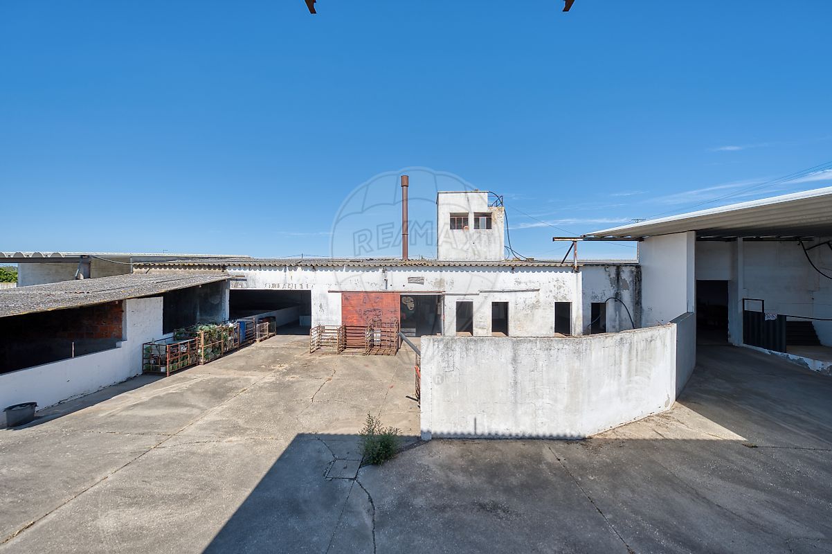 Moradia T5 à venda em Fazendas de Almeirim, Almeirim — foto 29
