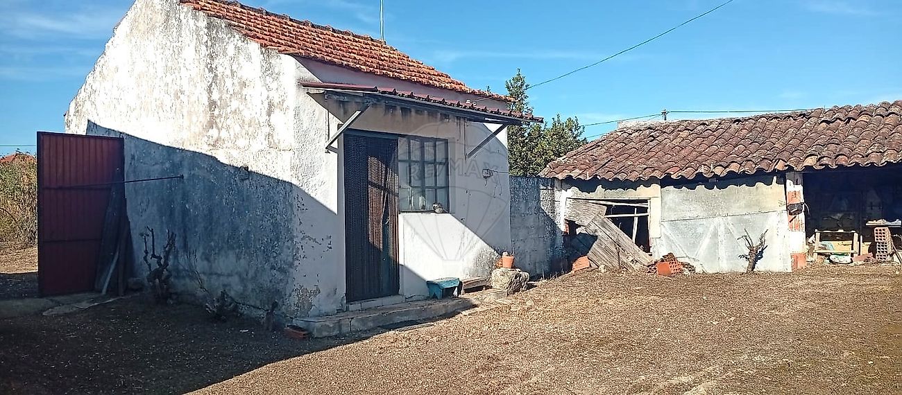 Moradia T2 - Ereira e Lapa, Cartaxo, Santarém