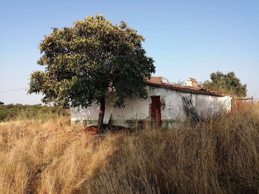 Quinta  à venda em Arredores