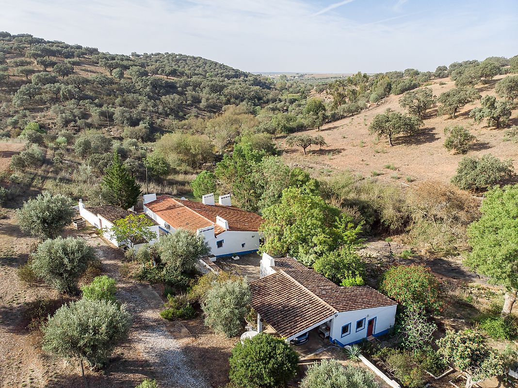 Quinta T4 à venda em Santa Susana