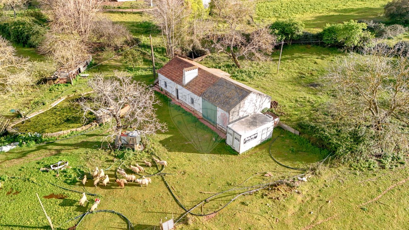 Quinta para venda