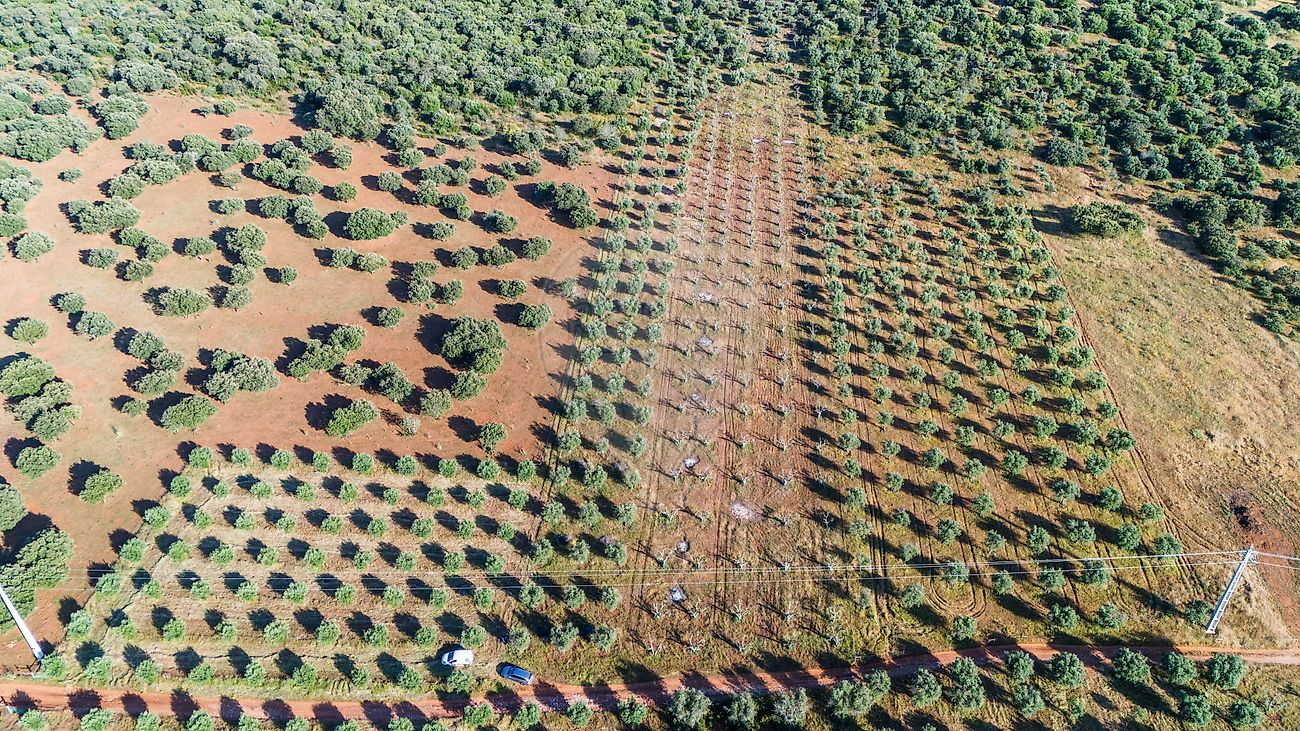 Terreno  para venda