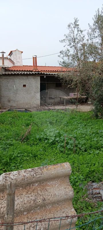 TODO