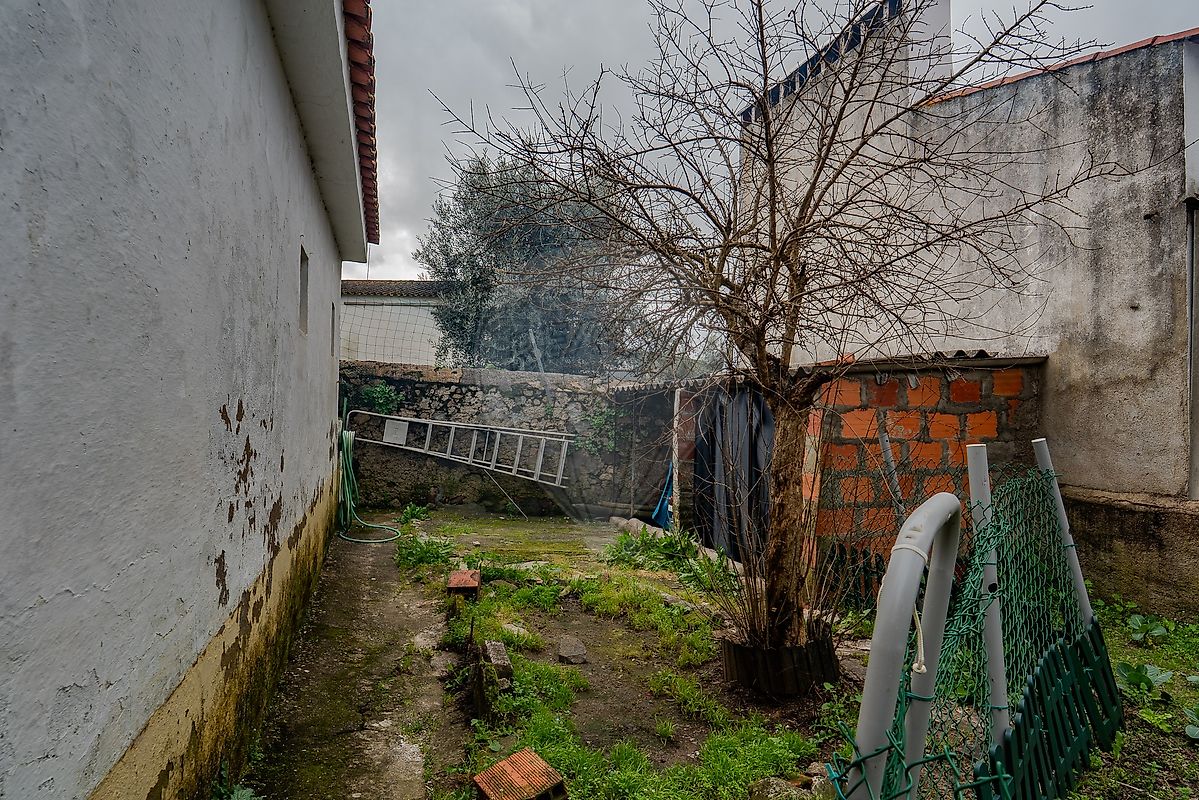 Moradia T2 à venda em São Saturnino, Fronteira — foto 19