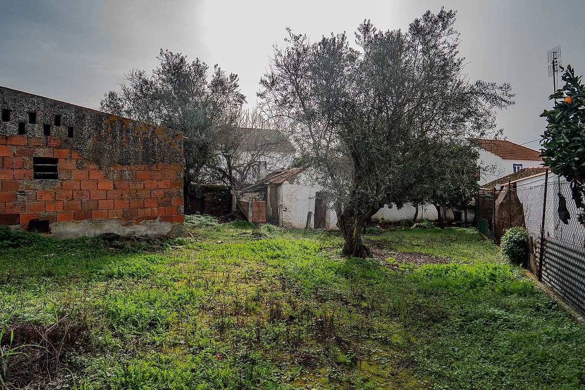 Moradia T2 à venda em Ameixial (Santa Vitória e São Bento), Estremoz — foto 7
