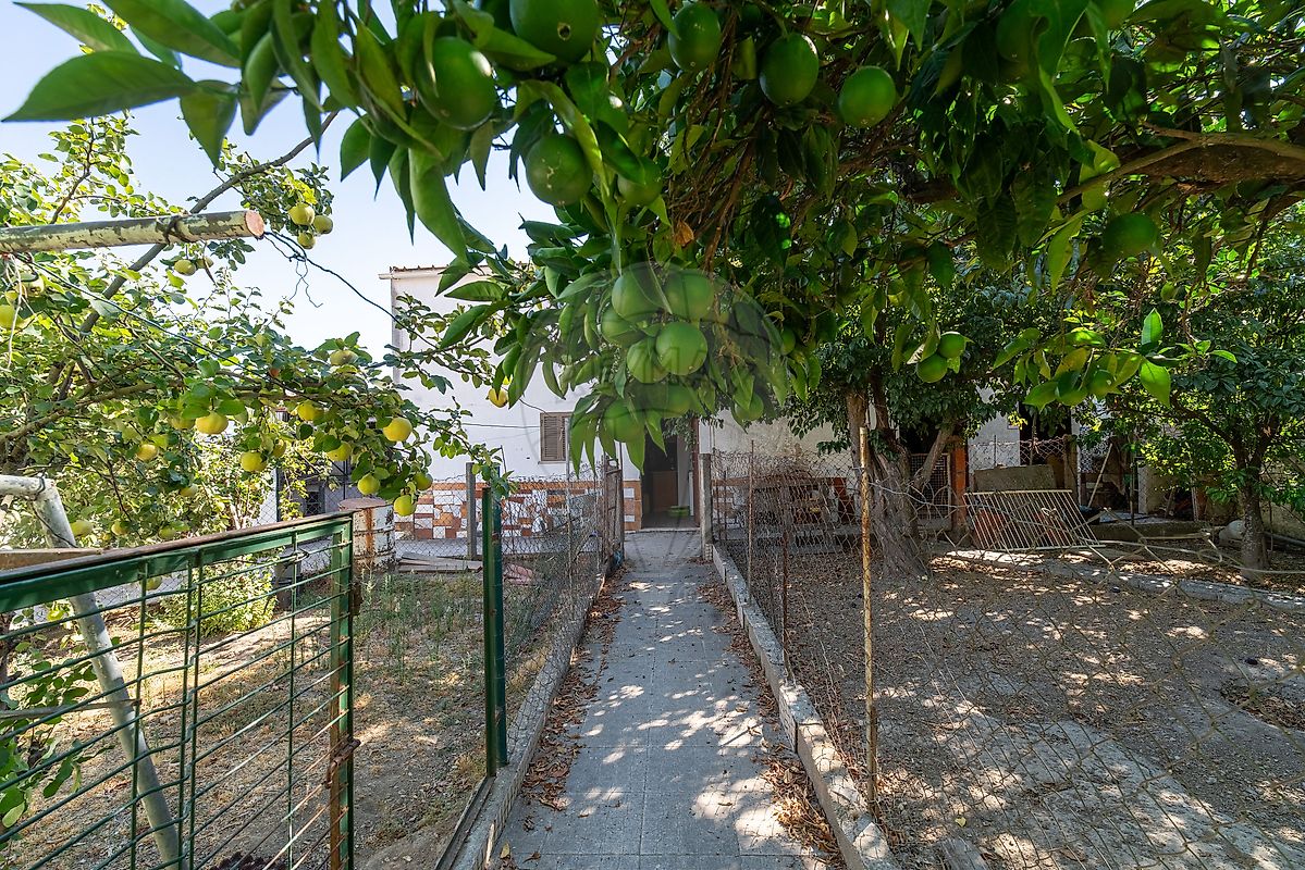 Moradia T4 à venda em Vaiamonte, Monforte — foto 18