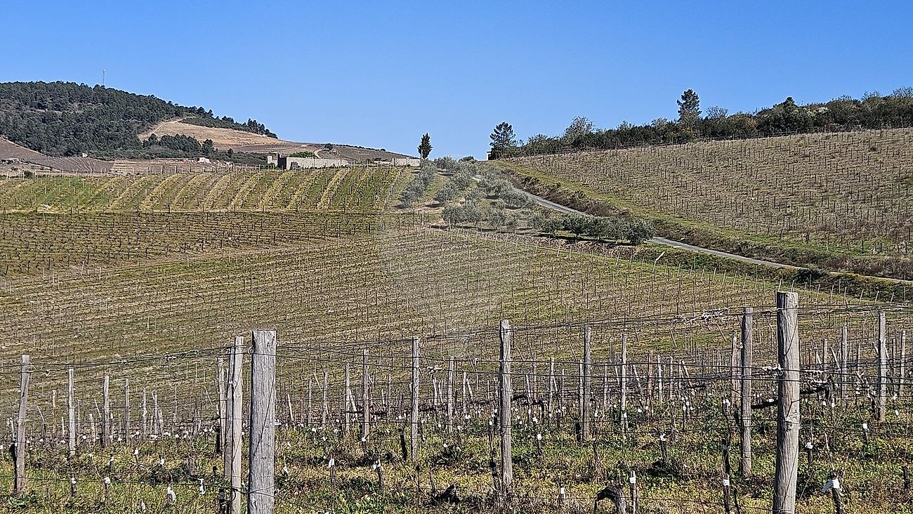 Terreno  para venda