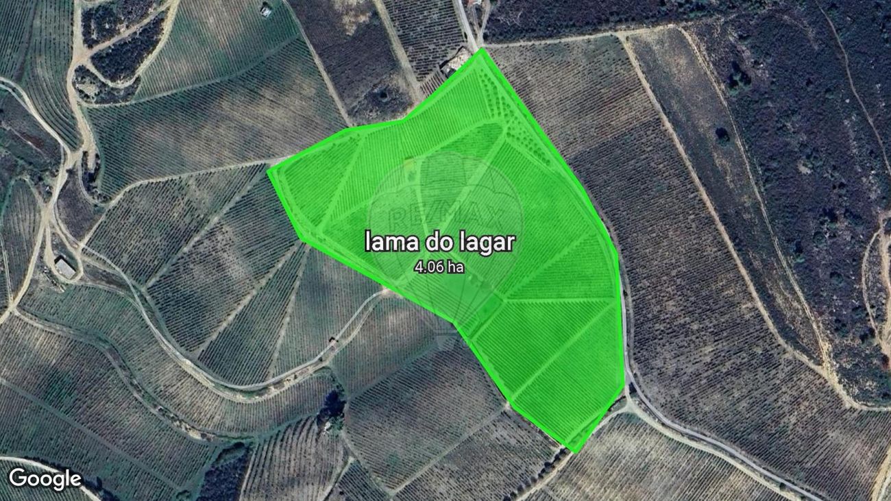 TODO