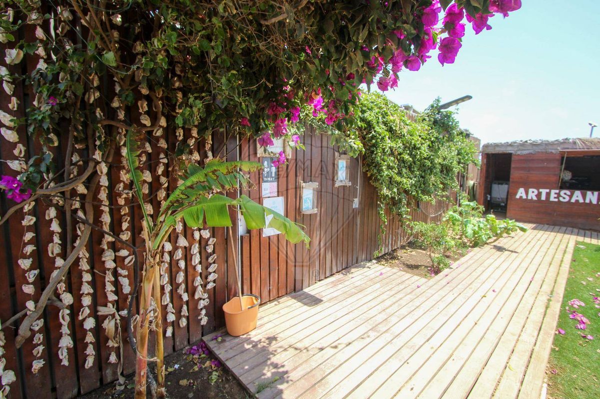 listing 125061251-2 picture-0