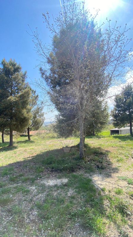 Terreno para venda