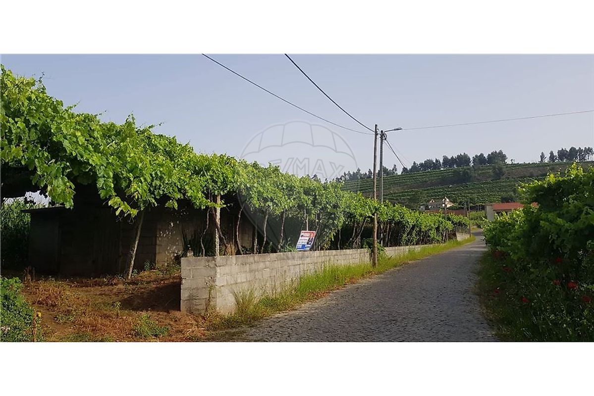 Terreno  à venda em Borba de Godim