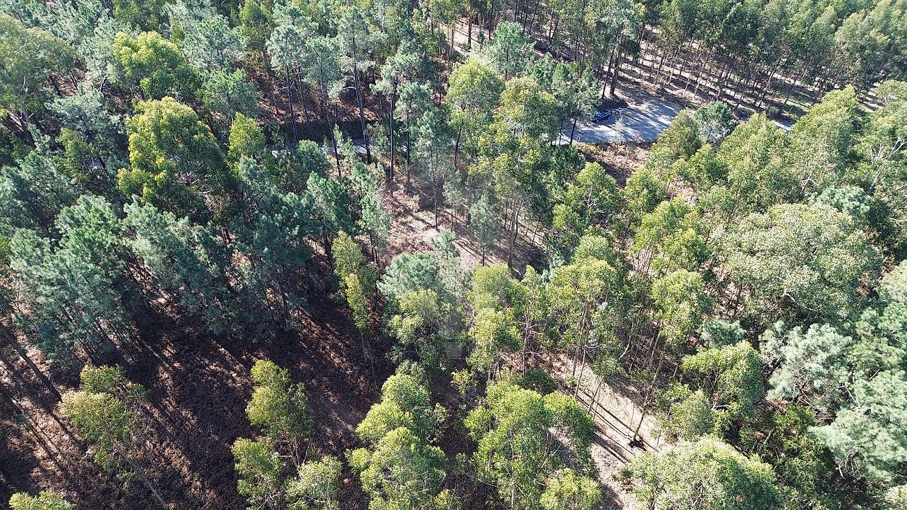 Terreno  à venda em Felgueiras