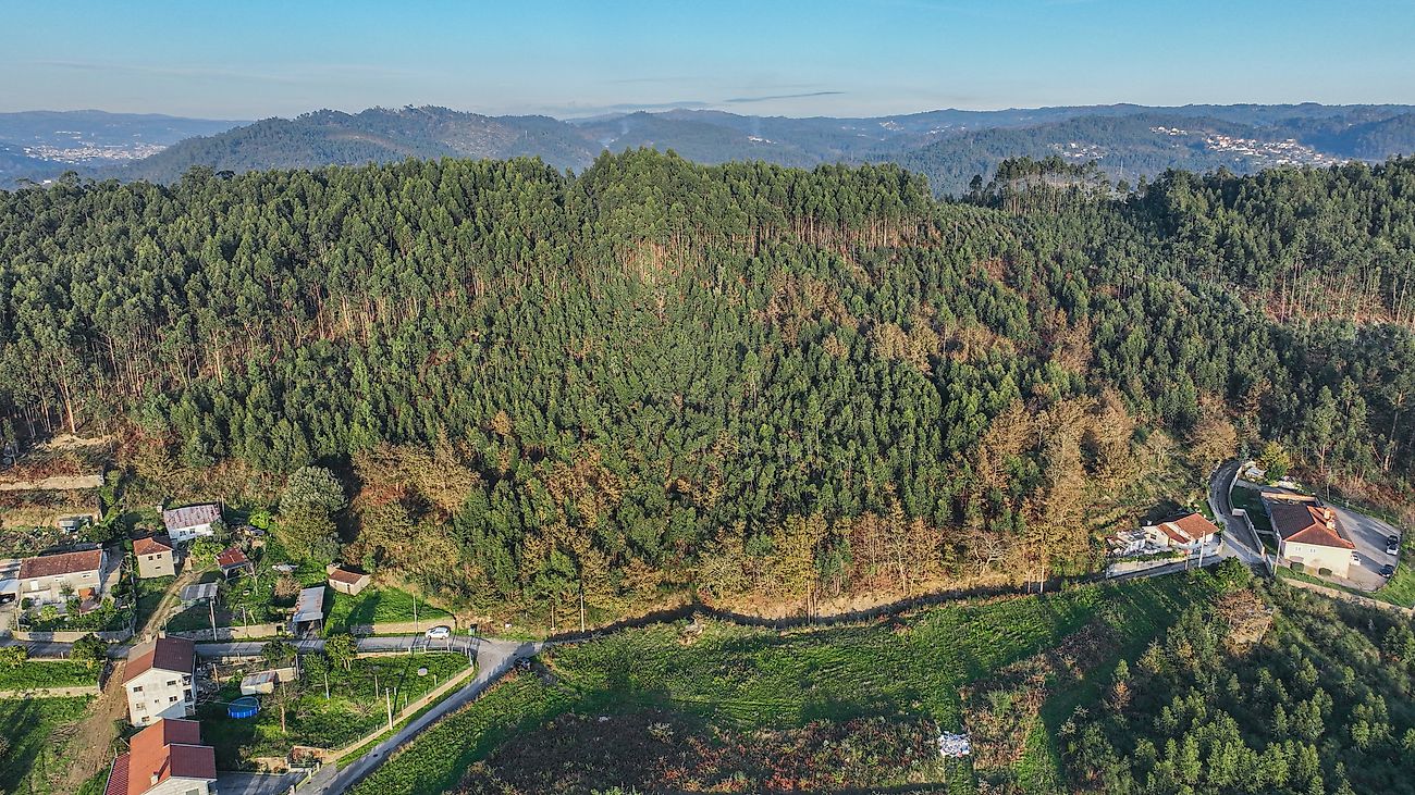 listing 125071120-6 picture-0