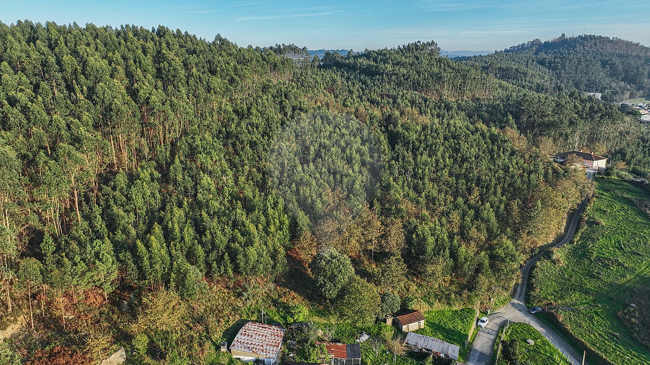 listing 125071120-6 picture-0