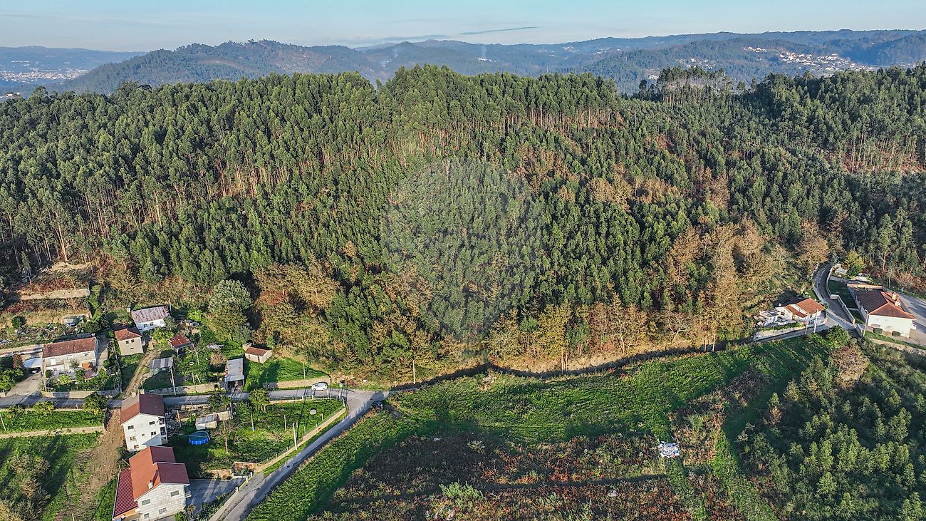 listing 125071120-6 picture-0