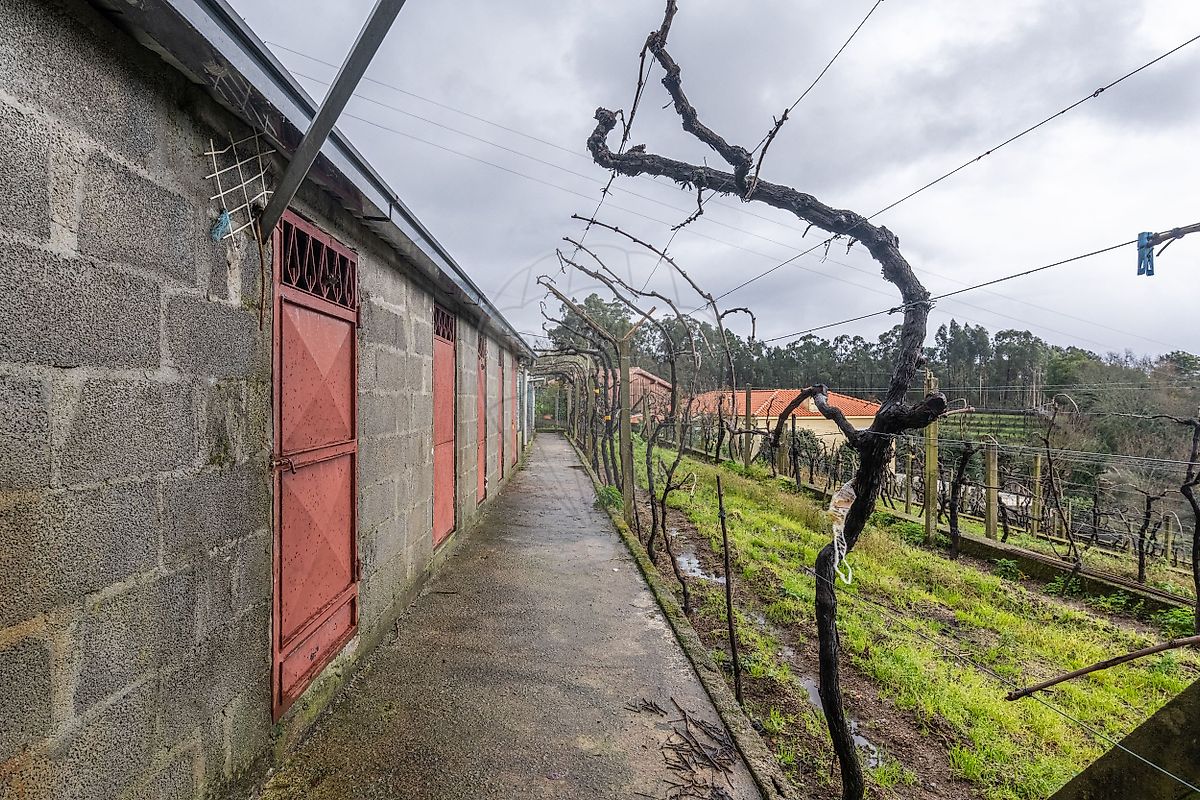 Moradia T2 à venda em Telões, Amarante — foto 14