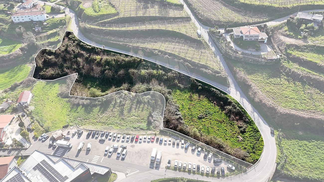 Terreno - Cepães e Fareja, Fafe, Braga