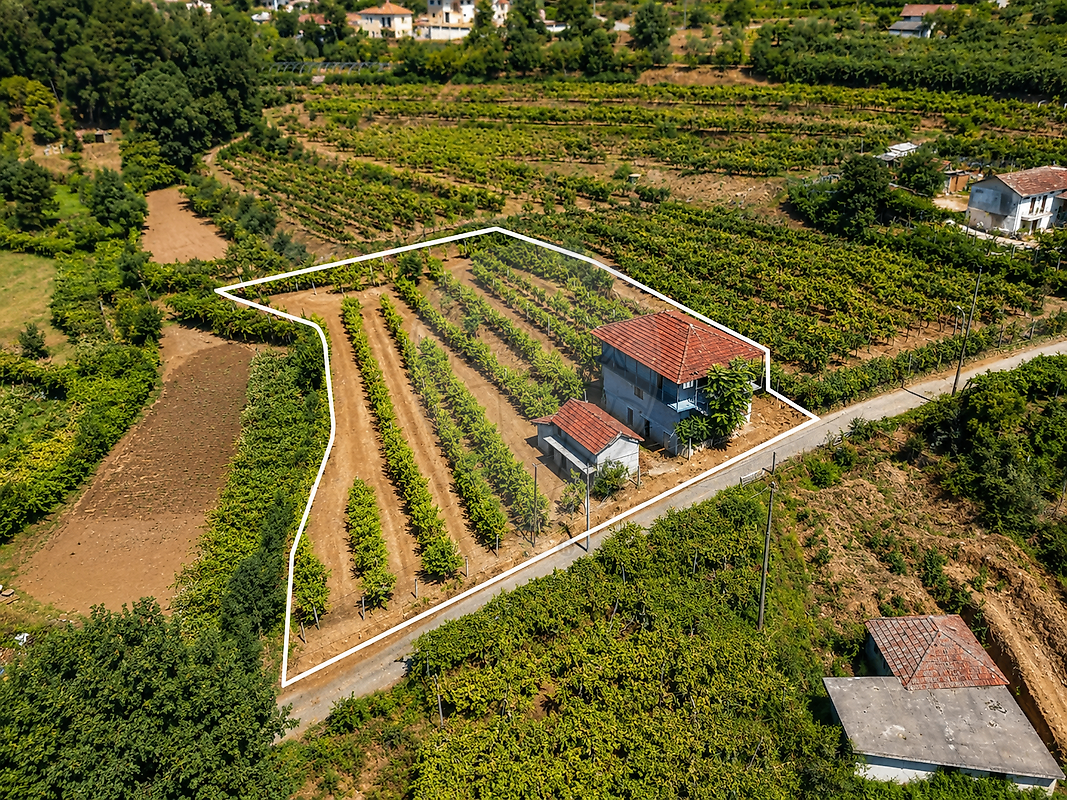 Apartamento à venda em Felgueiras