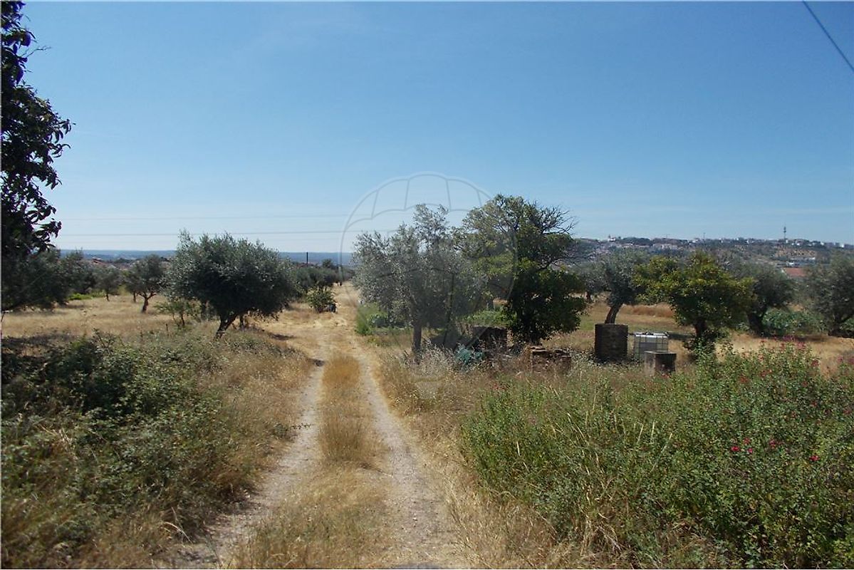 Land for sale in Abrantes, Portugal — €200,000