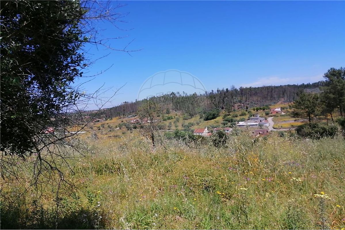 TERRENO PARA CONSTRUÇÃO EM MARTINCHEL