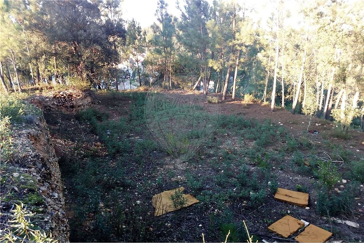 Land for sale in Abrantes, Portugal — €64,000