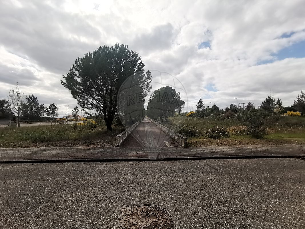 listing 125091010-925 picture-0