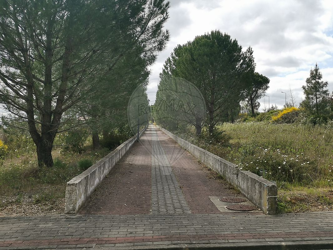 listing 125091010-925 picture-0