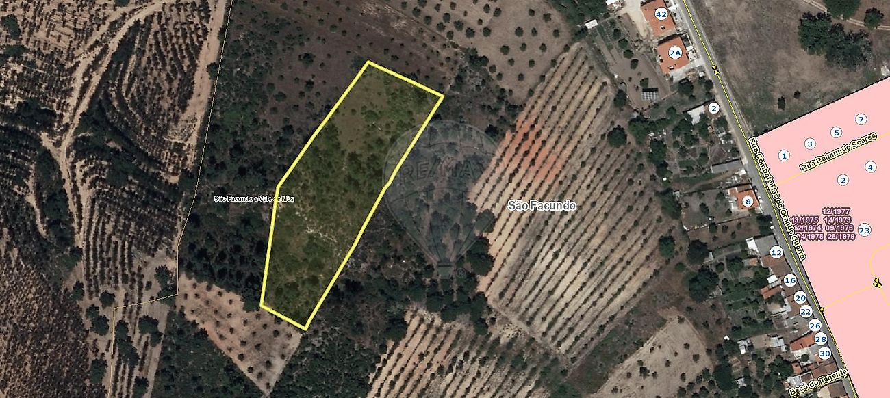 Terreno à venda em Abrantes