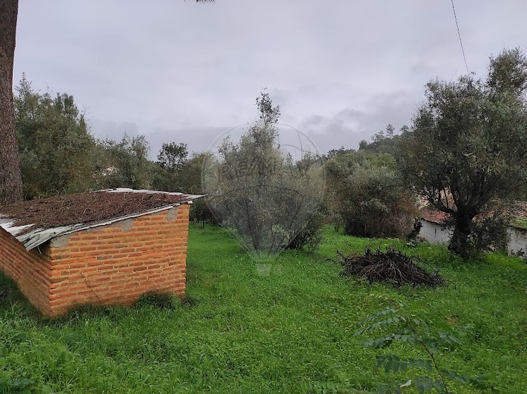 Terreno à venda em Constância