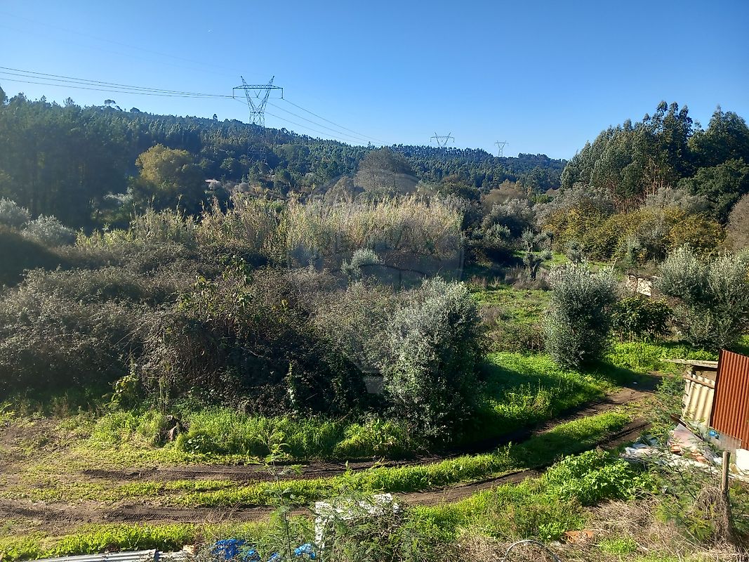 Terreno à venda em Gavião