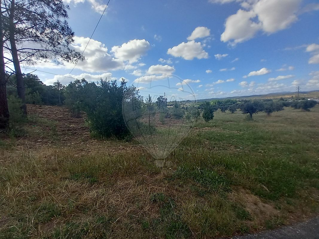 Land for sale in Abrantes, Portugal — €150,000