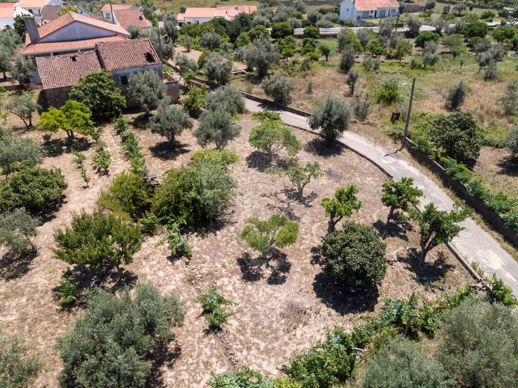 listing 125091031-33 picture-0