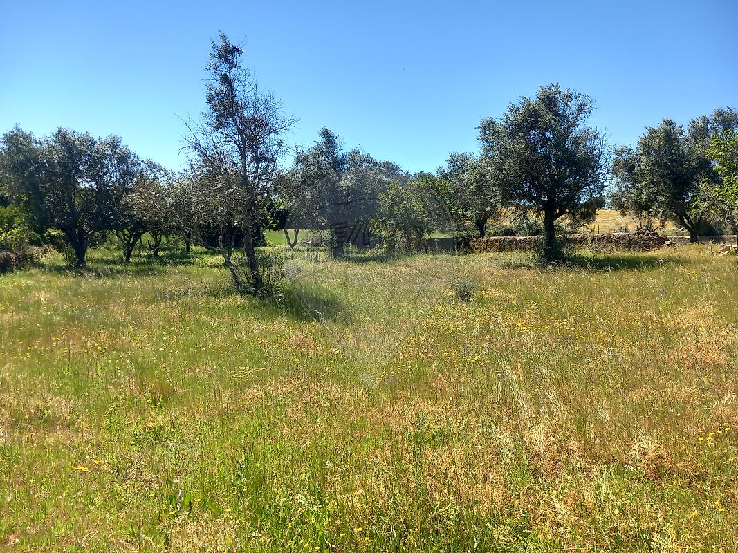Terreno para venda