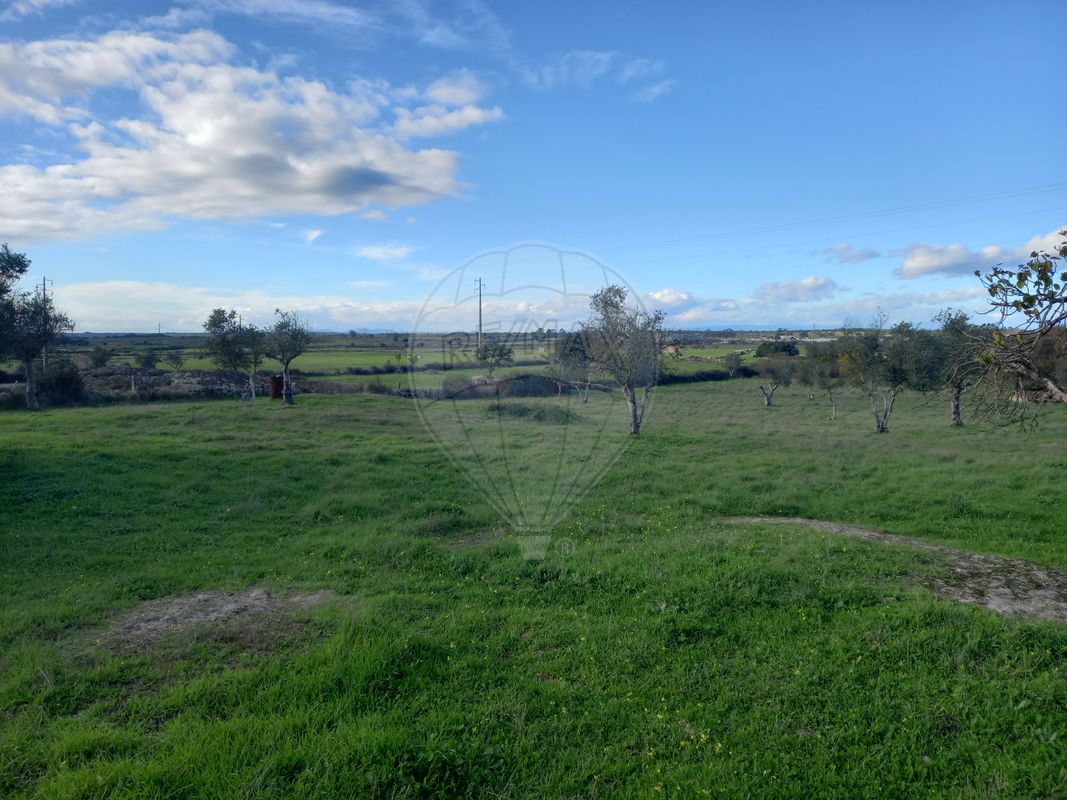 Terreno para venda