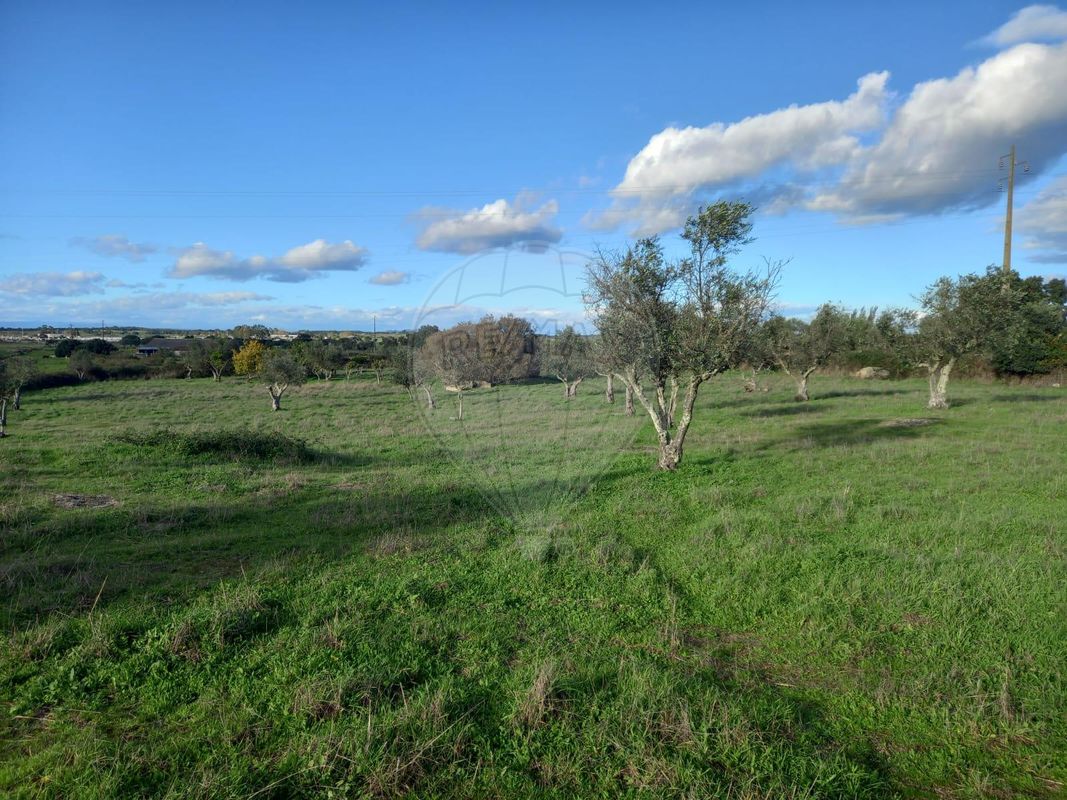 Terreno para venda