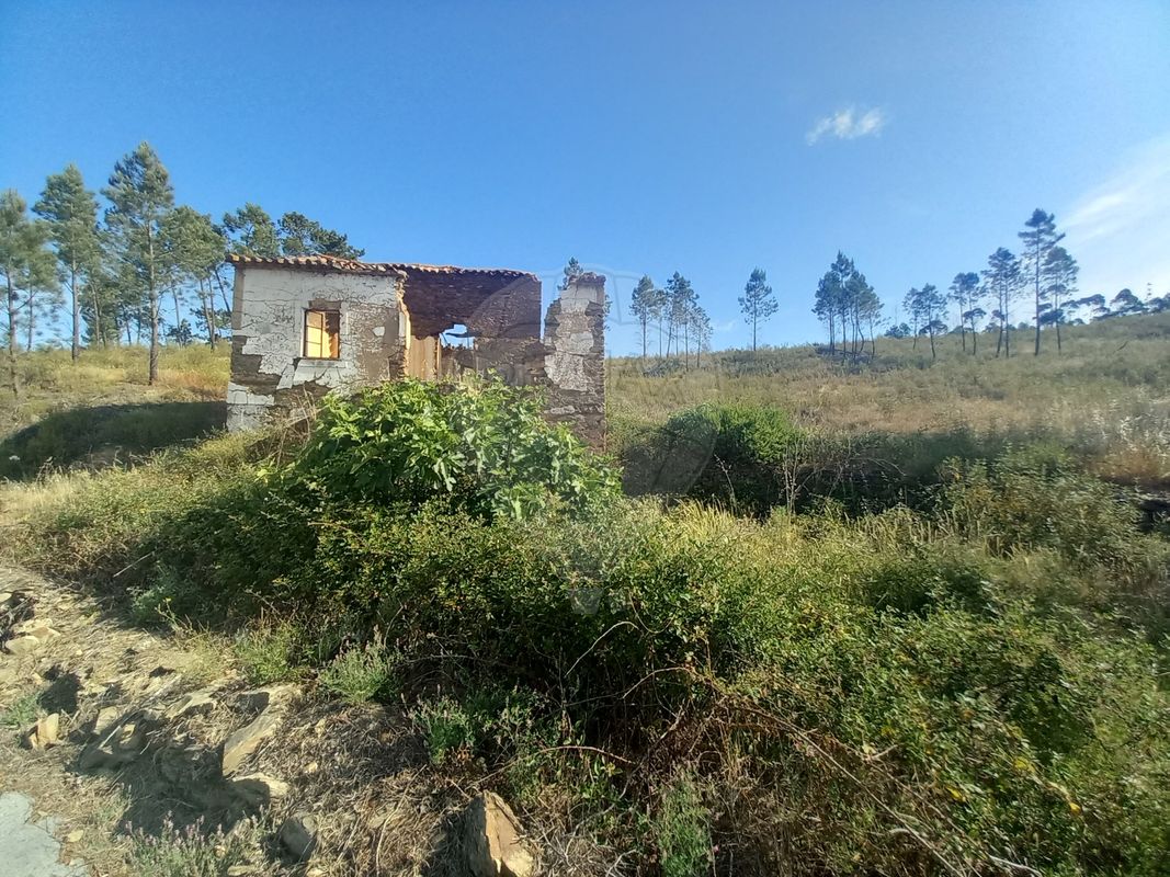 Terreno  para venda