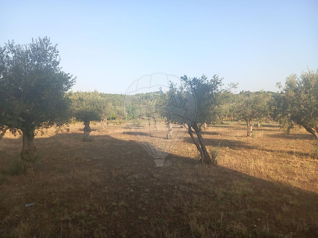 Terreno para venda