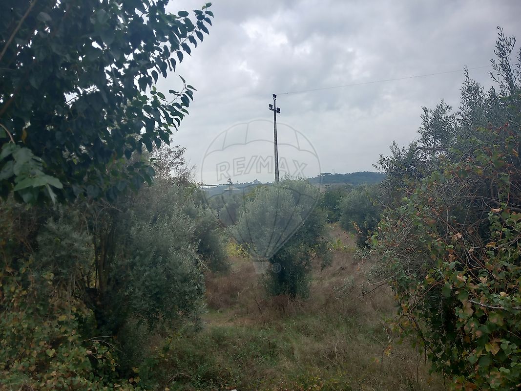 Land for sale in Abrantes, Portugal — €92,500