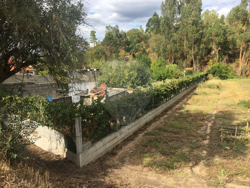 listing 125091037-15 picture-0