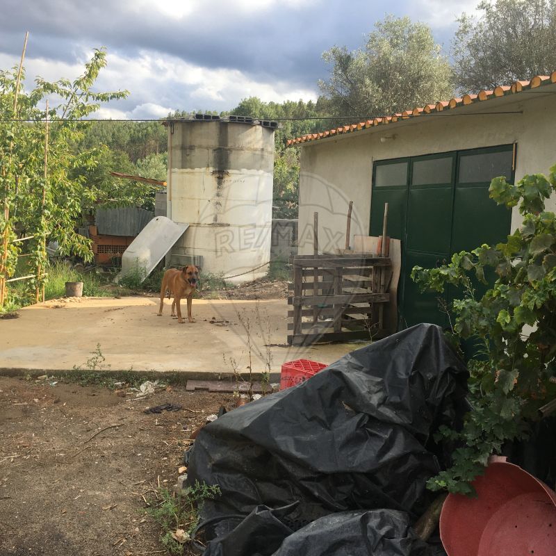 listing 125091037-15 picture-0