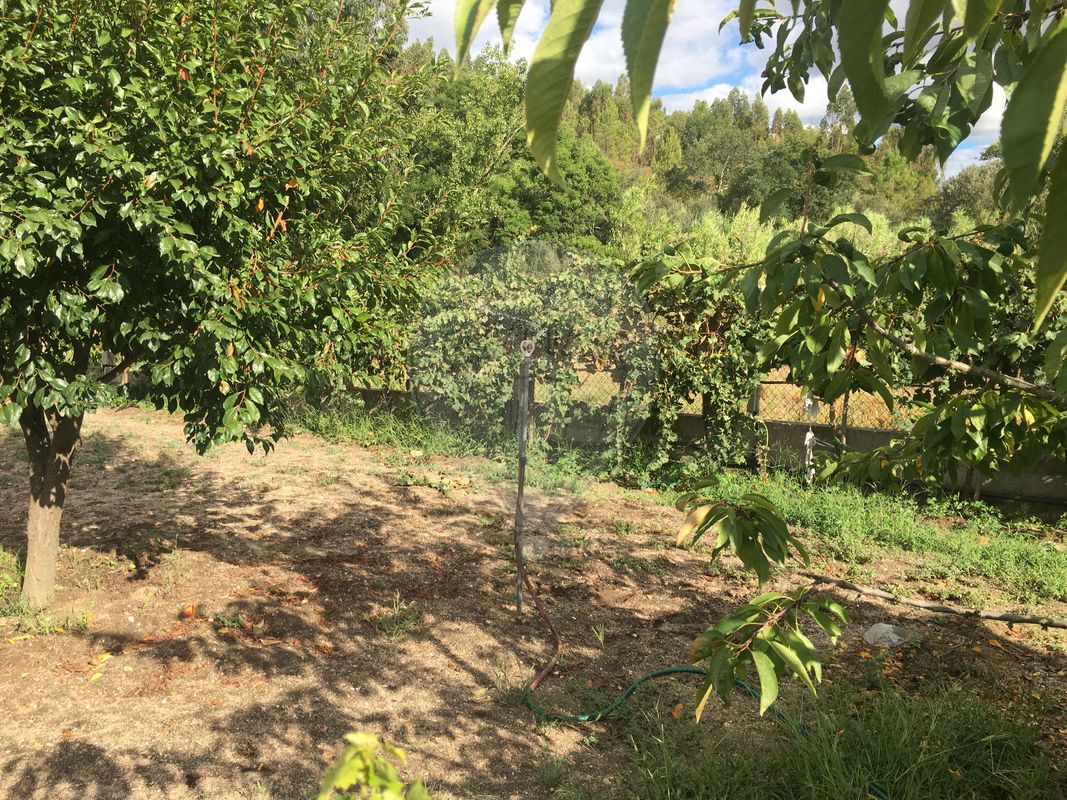 listing 125091037-15 picture-0