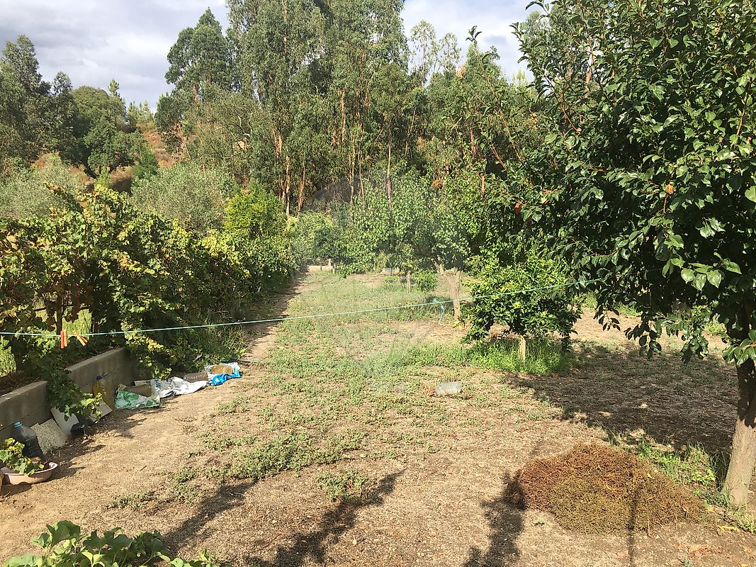 listing 125091037-15 picture-0