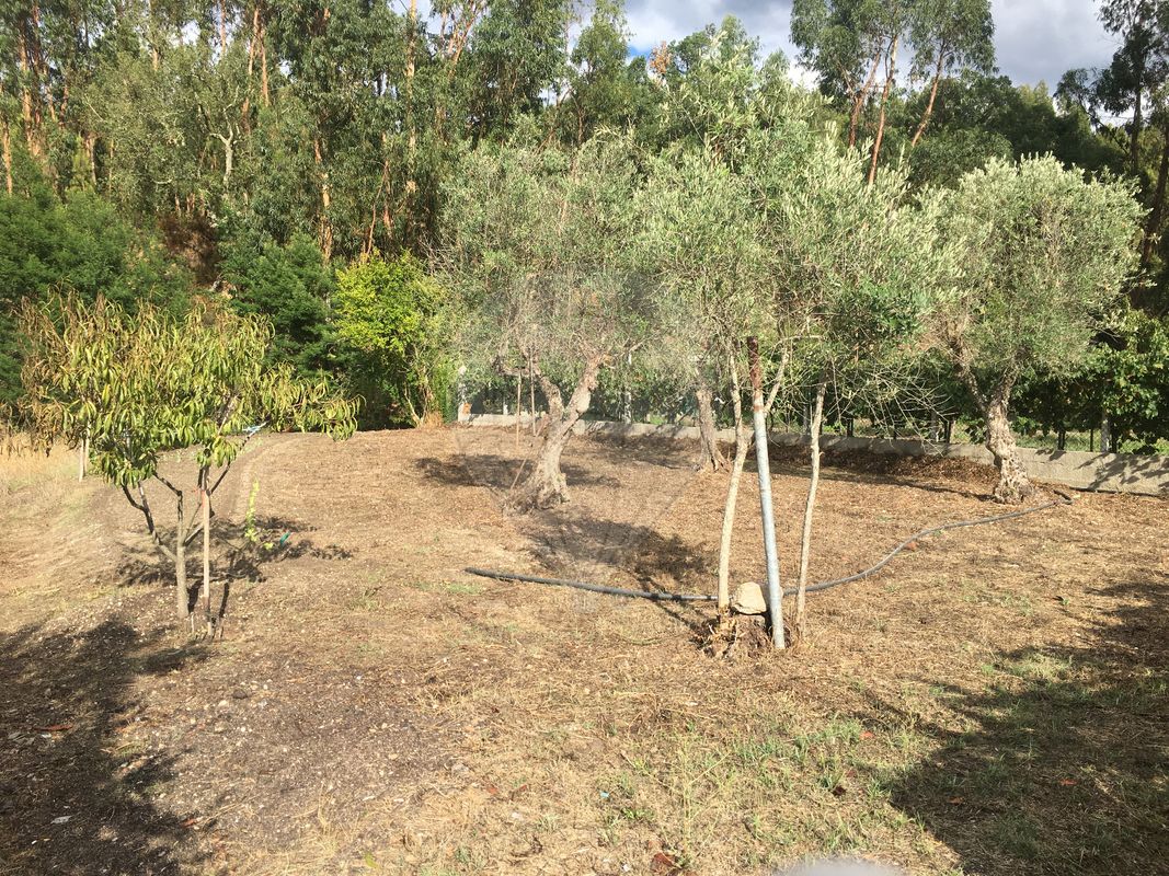 listing 125091037-15 picture-0
